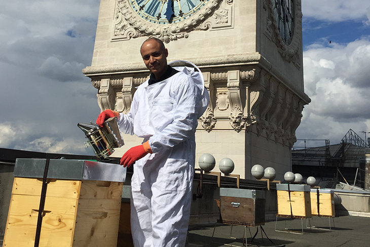 Mr Happy Miel : « Le miel récolté a reçu plusieurs distinctions… »