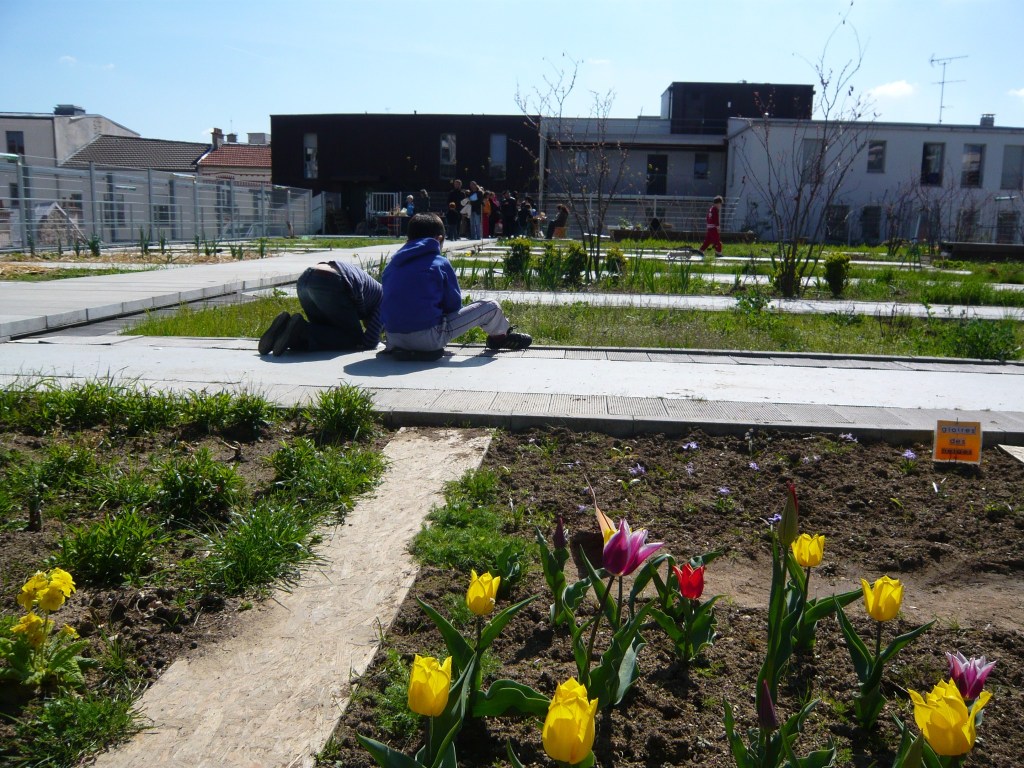 La végétalisation des bâtiments, un souhait des écologistes du&nbsp;11e