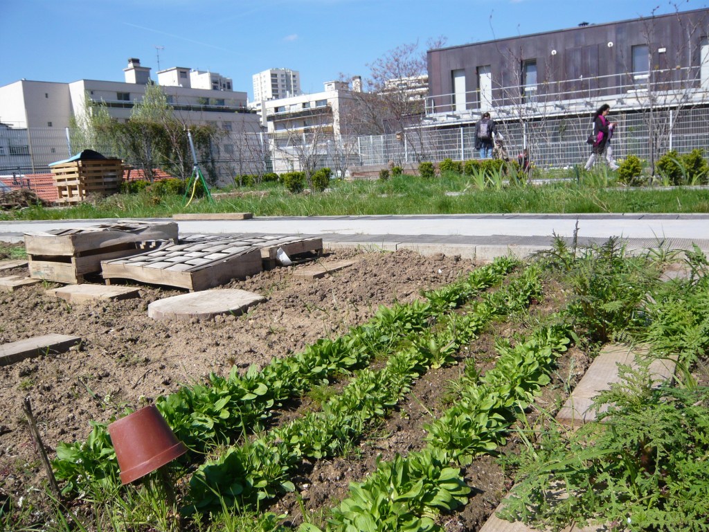 C. Najdovski : Une forêt sur les toits de Paris et des propositions pour le&nbsp;logement.