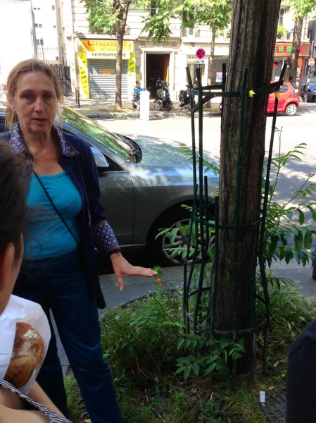 Fabienne nous explique l'intérêt écologique de ces pieds d'arbre "sauvages"