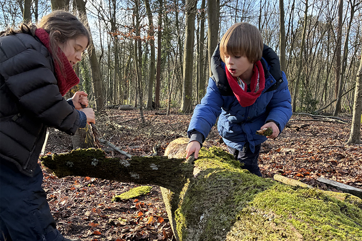 Moïna Fauchier-Delavigne : « Le problème n’est pas le manque de nature en ville mais que nous ne permettons plus aux enfants d’en profiter »